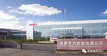 讲真 国产轮胎值得购买